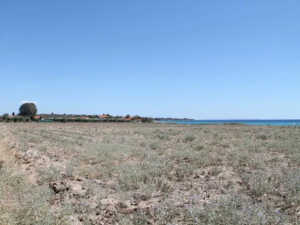 Οικόπεδο 21200τ.μ.  - 4