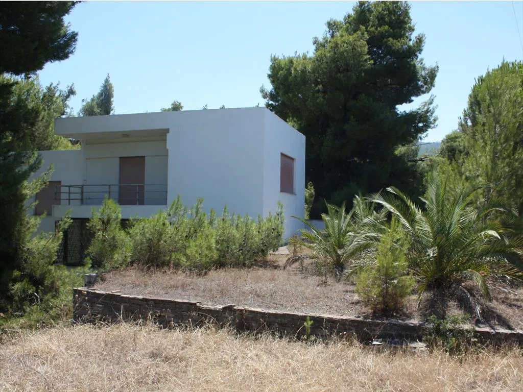 Detached house 400m²  - 4