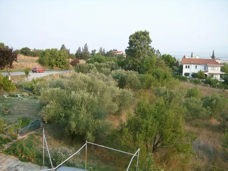 Αυτόνομο κτήριο κατοικιών 1008τ.μ.  - 5