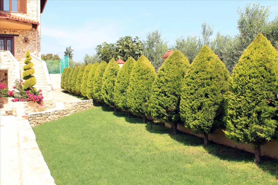 Detached house 235m²  - 2