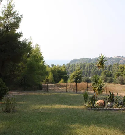 Μονοκατοικία 260τ.μ.  - 3