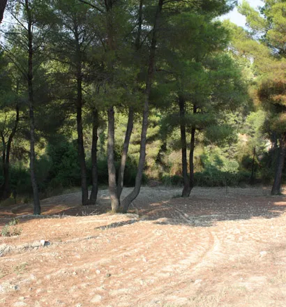 Μονοκατοικία 260τ.μ.  - 5