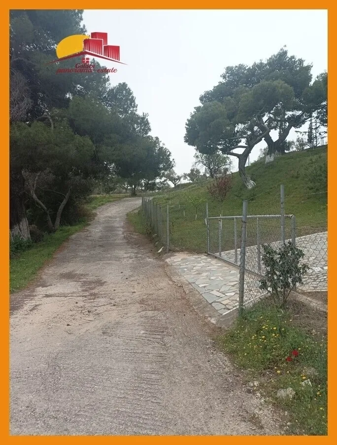 Αγροτεμάχιο 4052τ.μ.  - 3