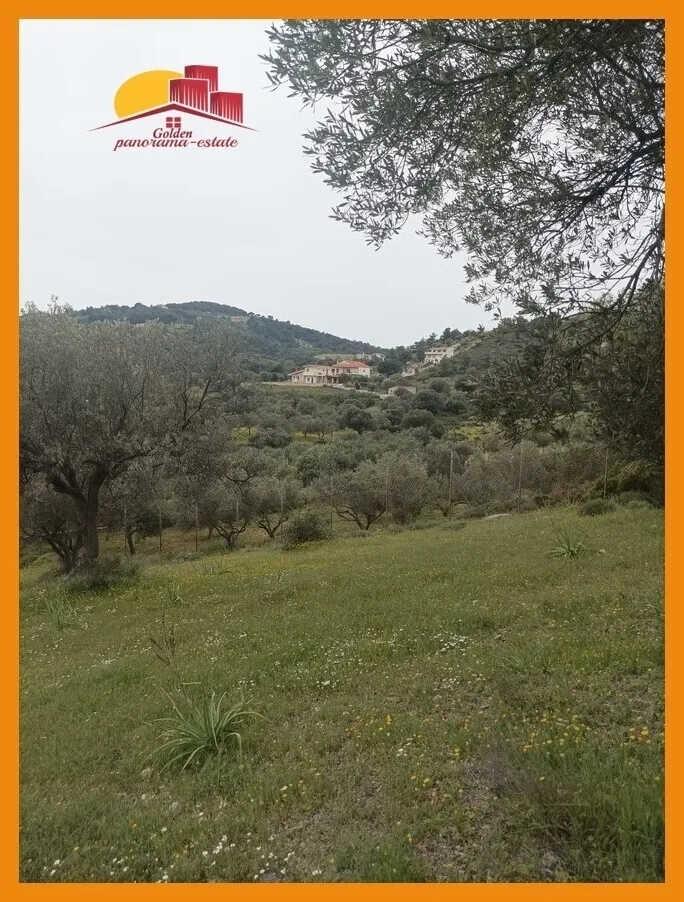 Αγροτεμάχιο 4052τ.μ.  - 5