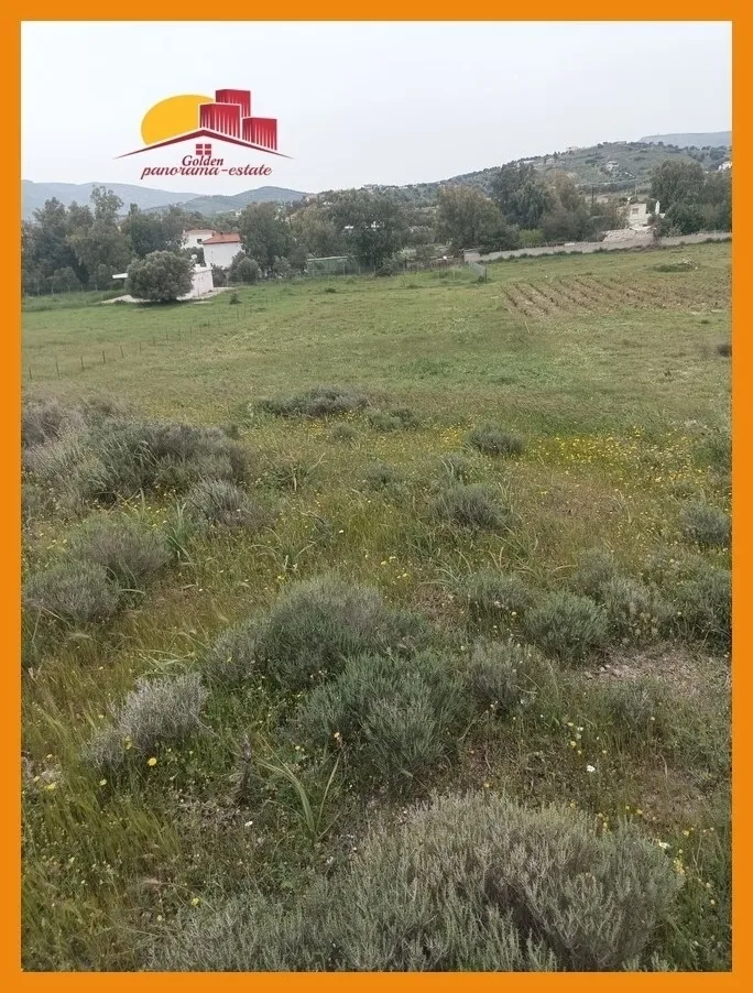 Αγροτεμάχιο 2475τ.μ.  - 2