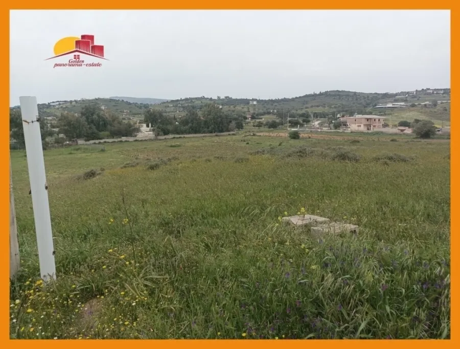 Αγροτεμάχιο 2475τ.μ.  - 5