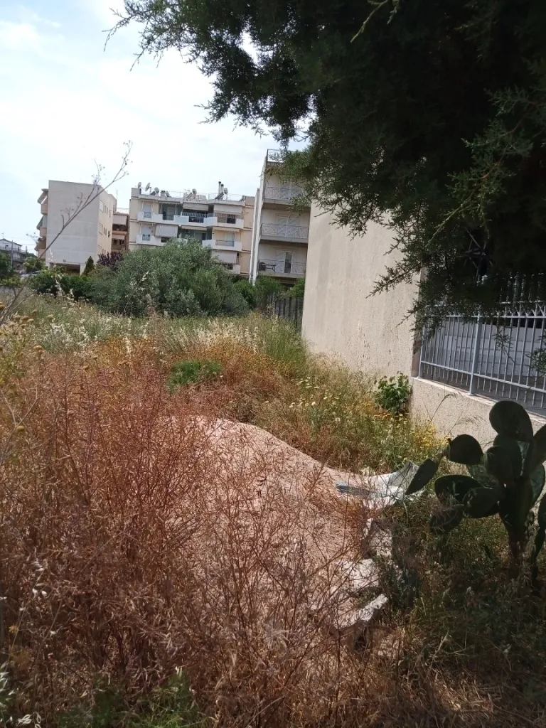 Οικόπεδο 611τ.μ.  - 4