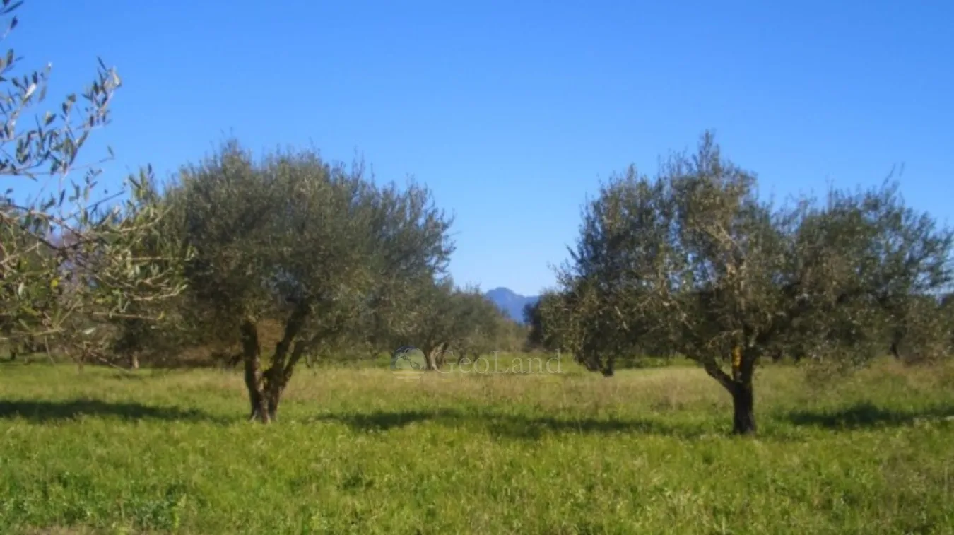 Plot 4130m²  - 5
