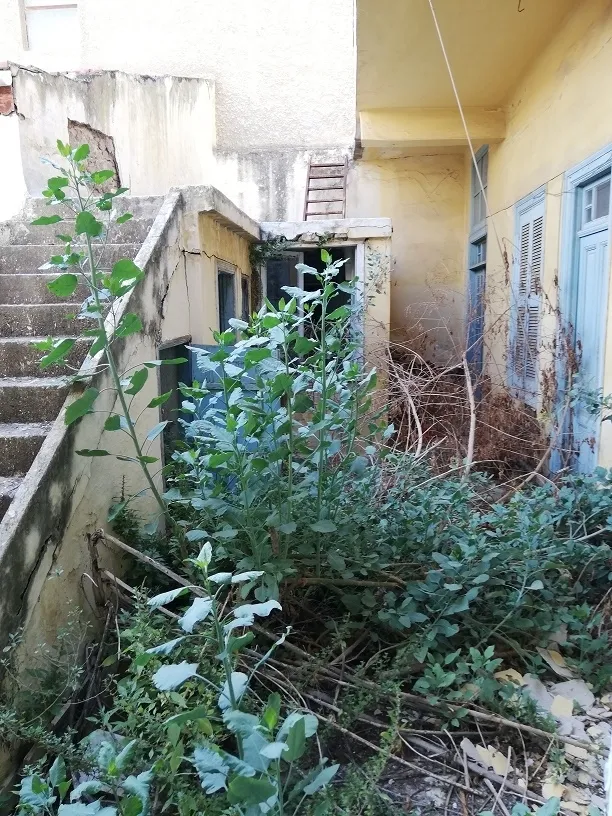 Οικόπεδο 120τ.μ.  - 2