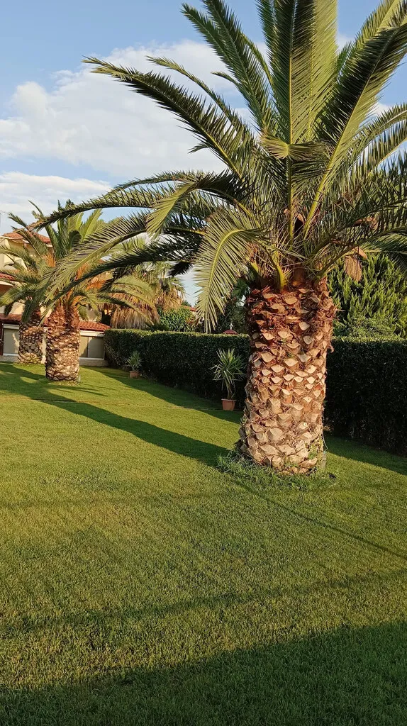 Detached house 143m²  - 4