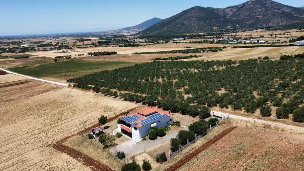 Μονοκατοικία 350τ.μ.  - 3