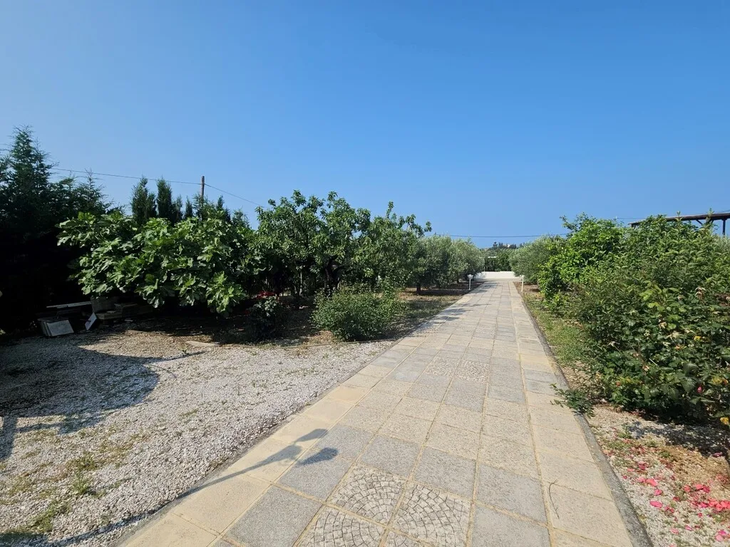Μονοκατοικία 288τ.μ.  - 2