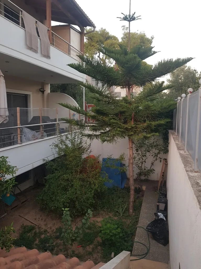 Μονοκατοικία 497τ.μ.  - 3