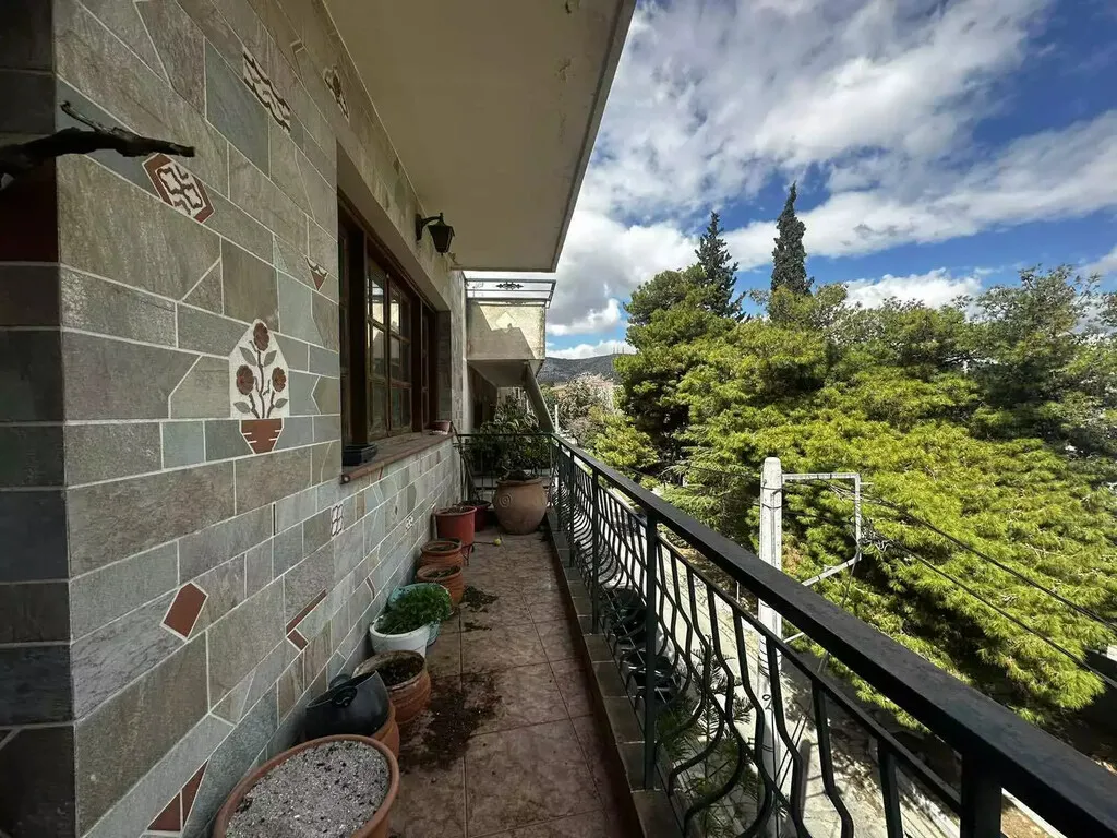 Apartment 167m²  - 5