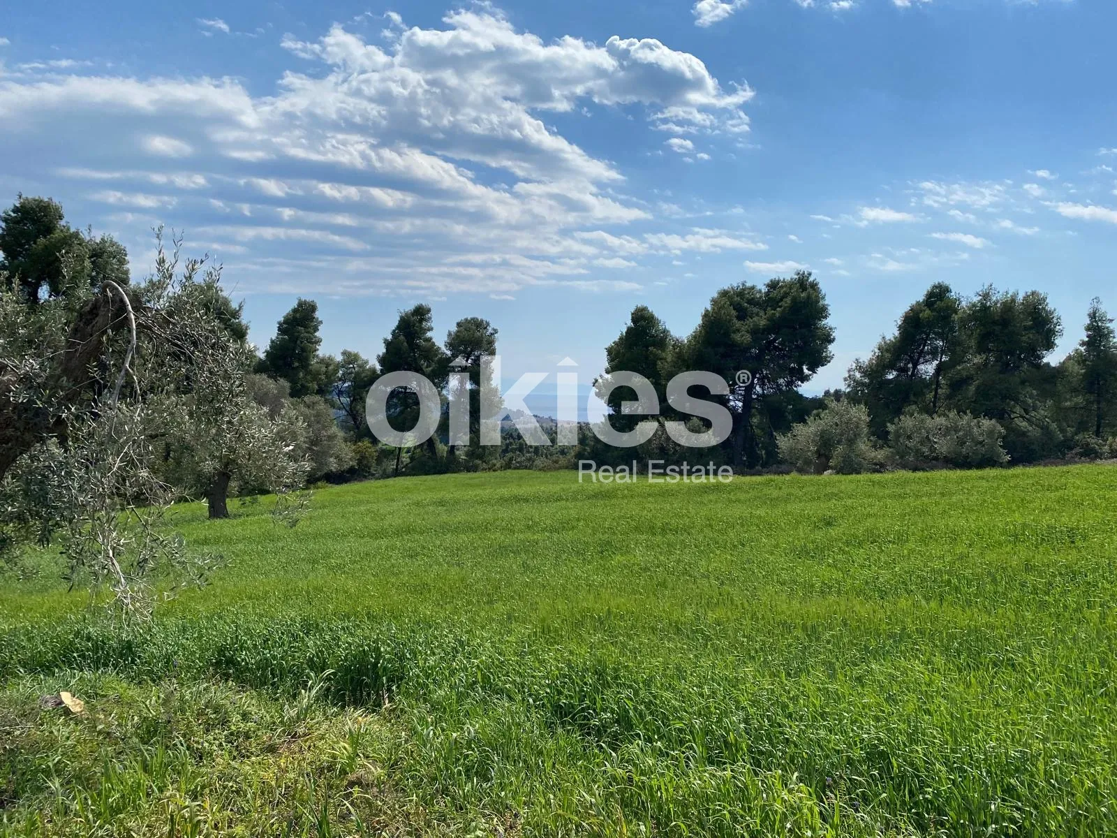 Αγροτεμάχιο 4328τ.μ.  - 2