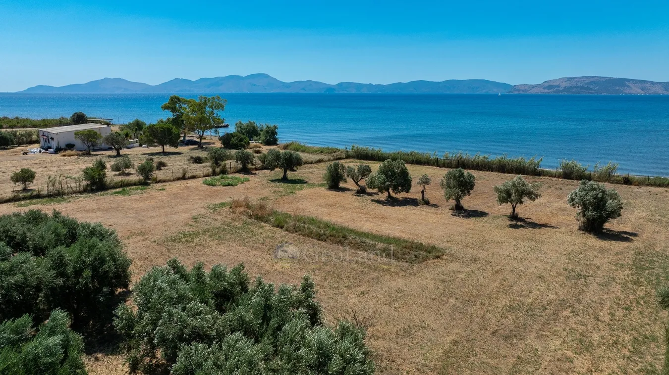 Land Parcel 6465m²  - 2