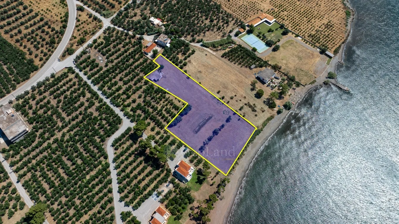 Land Parcel 6465m²  - 3