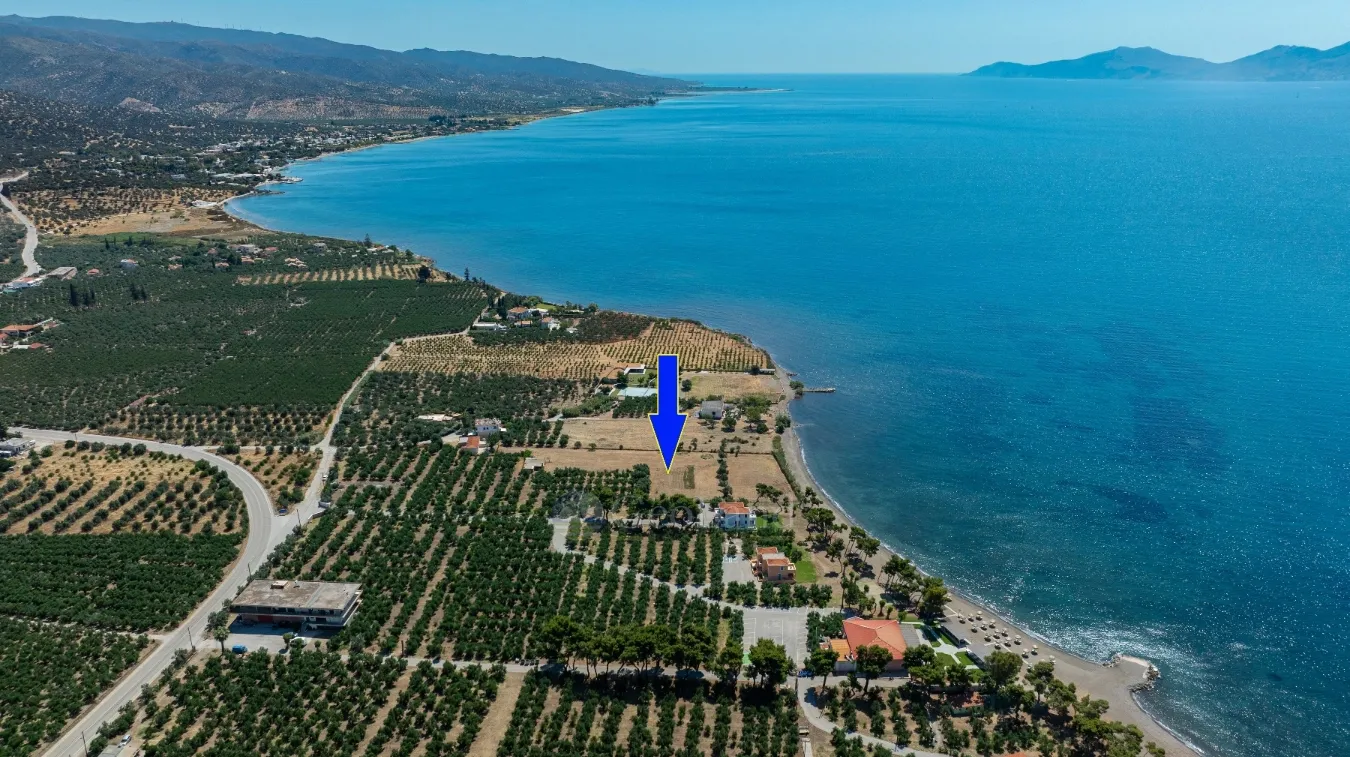 Land Parcel 6465m²  - 4