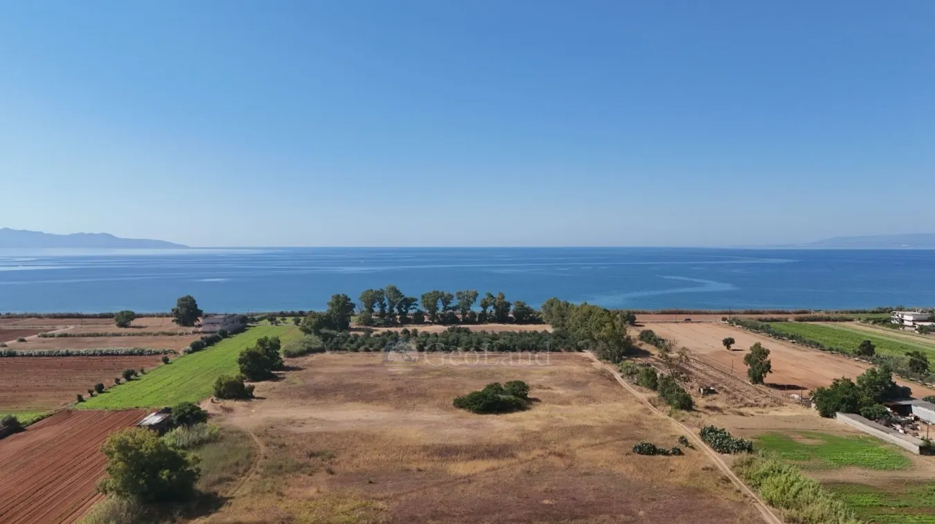 Land Parcel 56200m²  - 5