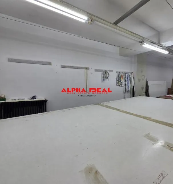 Βιοτεχνικοί / Βιομηχανικοί χώροι 250τ.μ.  - 4