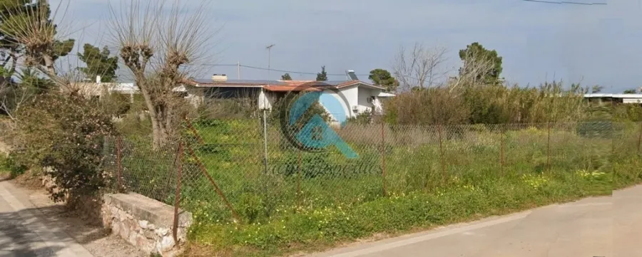 Plot 1600m²  - 2