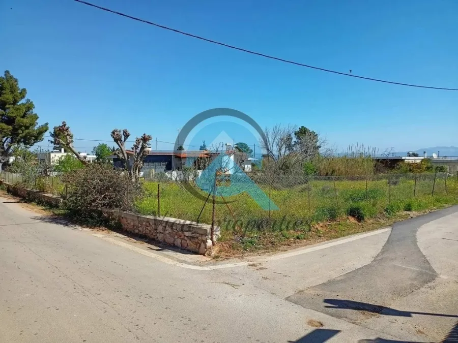 Plot 1600m²  - 3