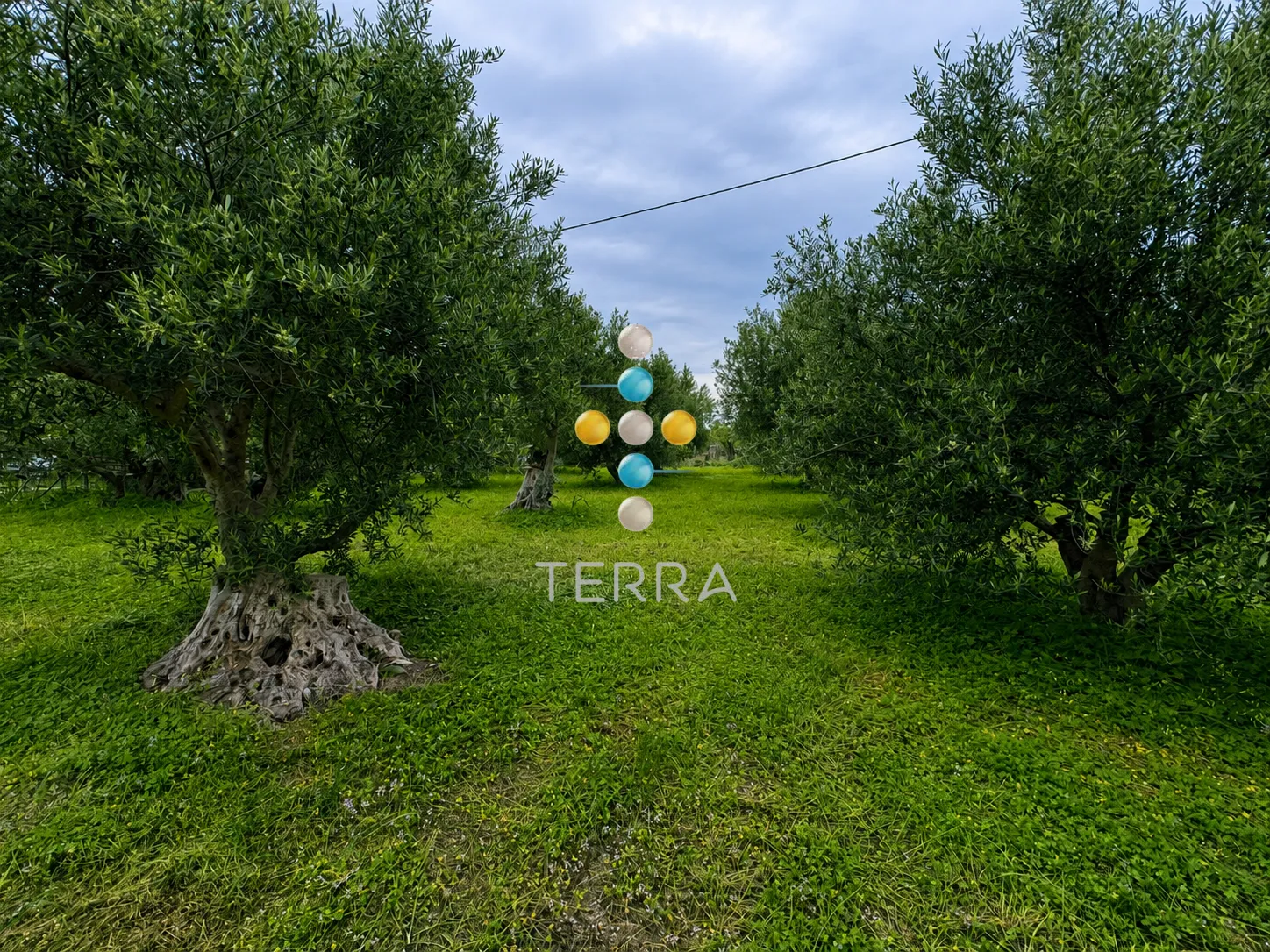 Other .. 1050m²  - 2