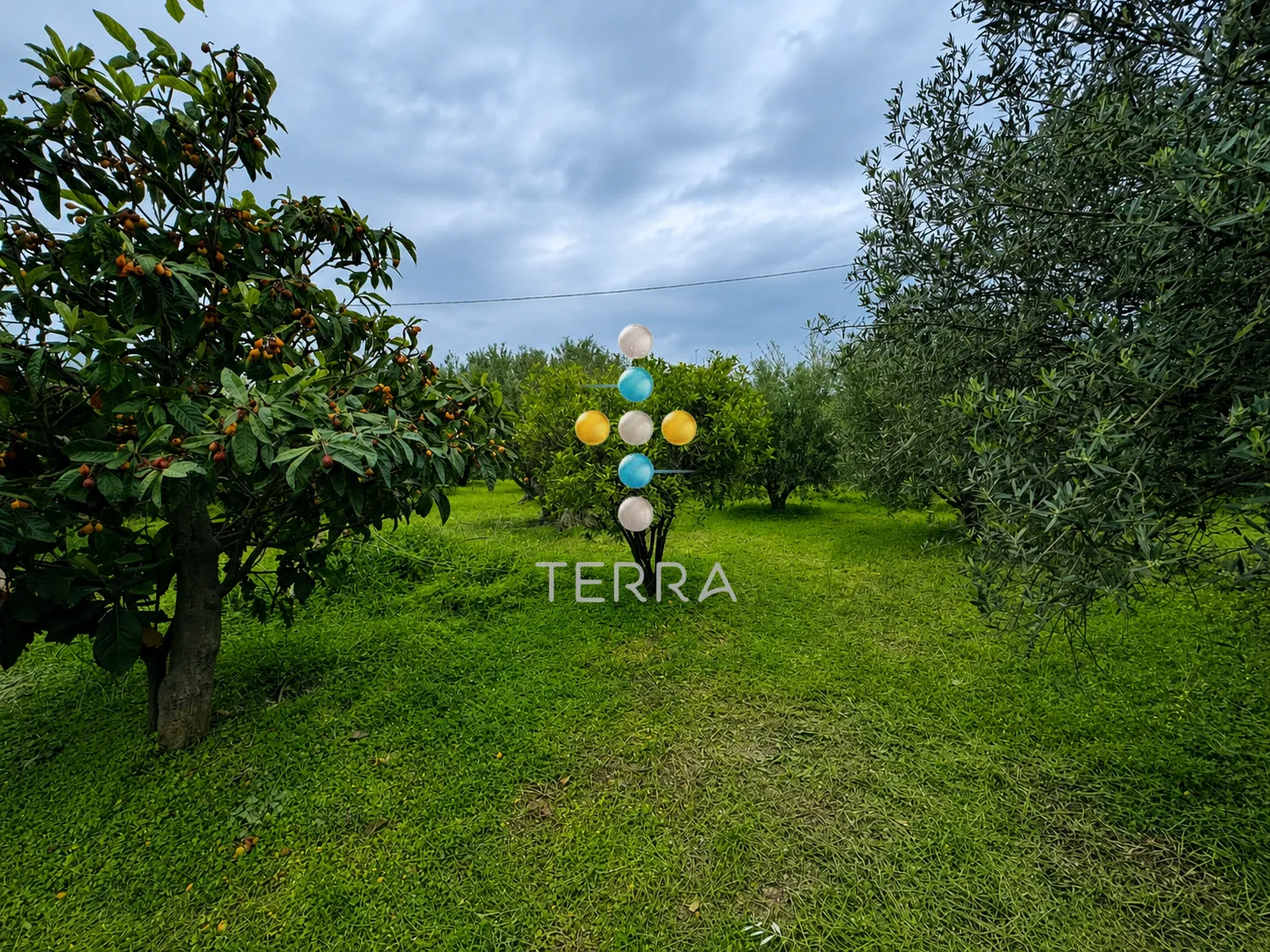 Other .. 1050m²  - 3