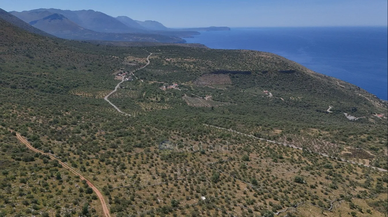 Αγροτεμάχιο 32000τ.μ.  - 3