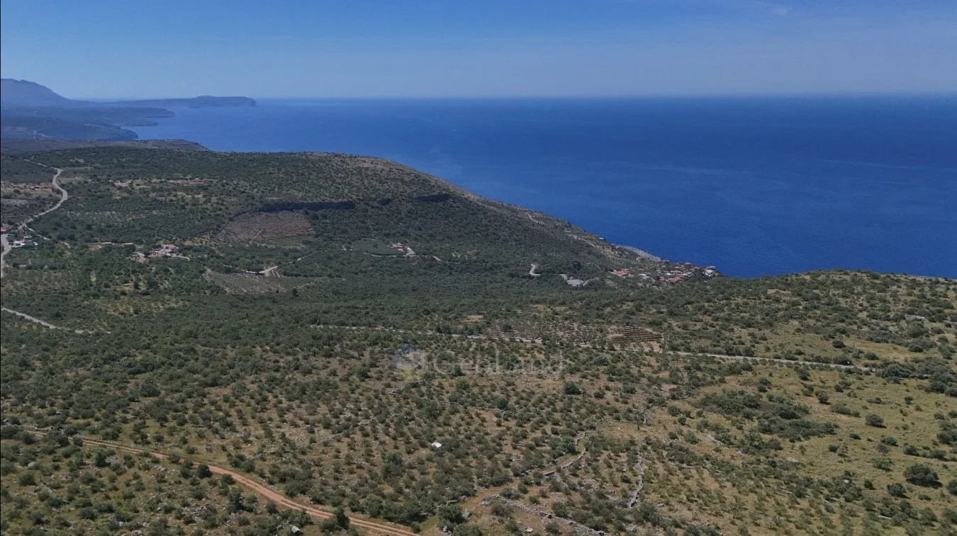 Αγροτεμάχιο 32000τ.μ.  - 4