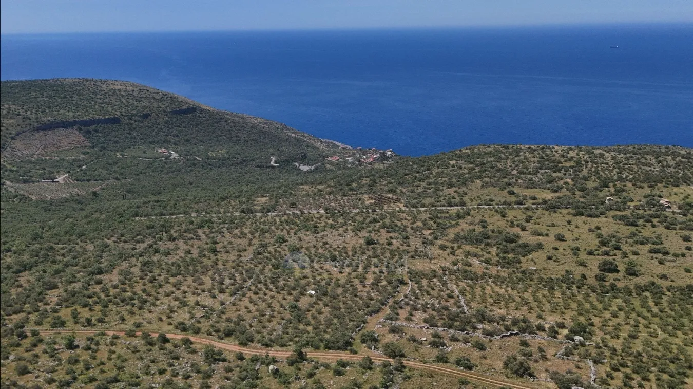 Αγροτεμάχιο 32000τ.μ.  - 5