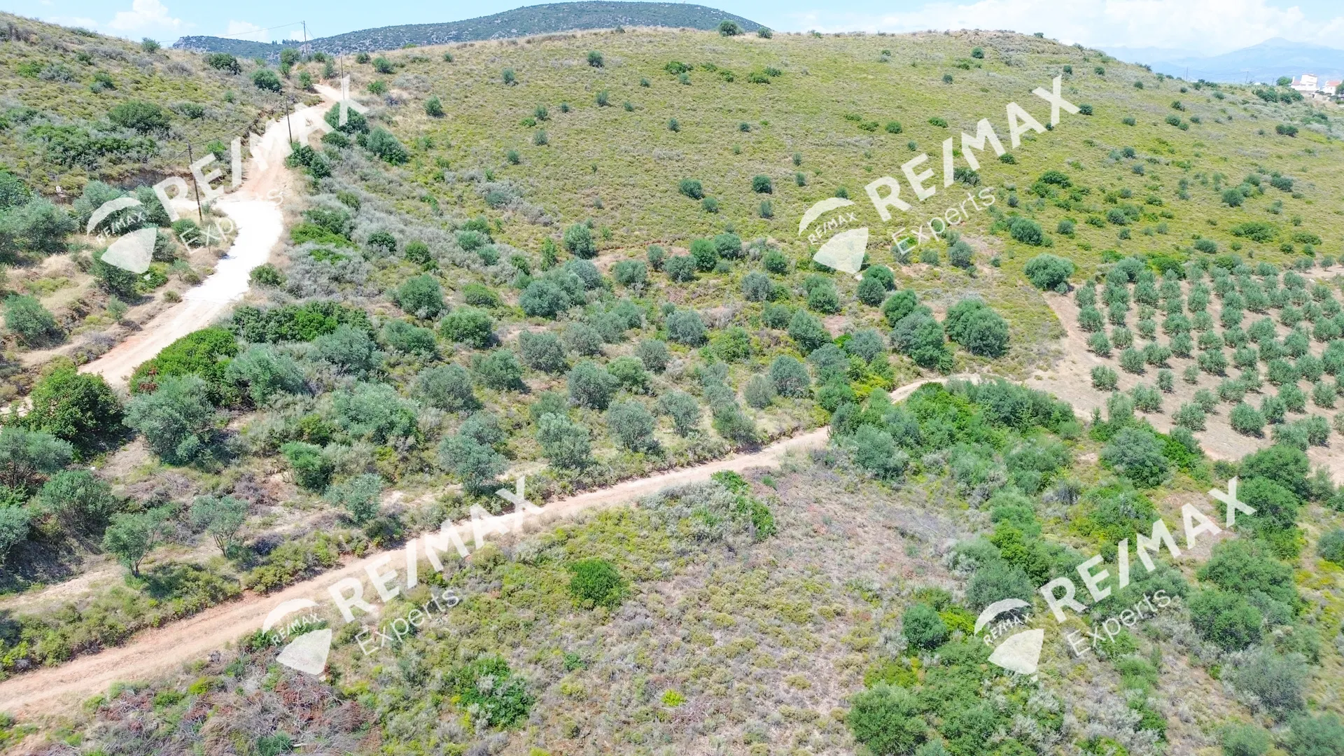 Plot 6636m²  - 3