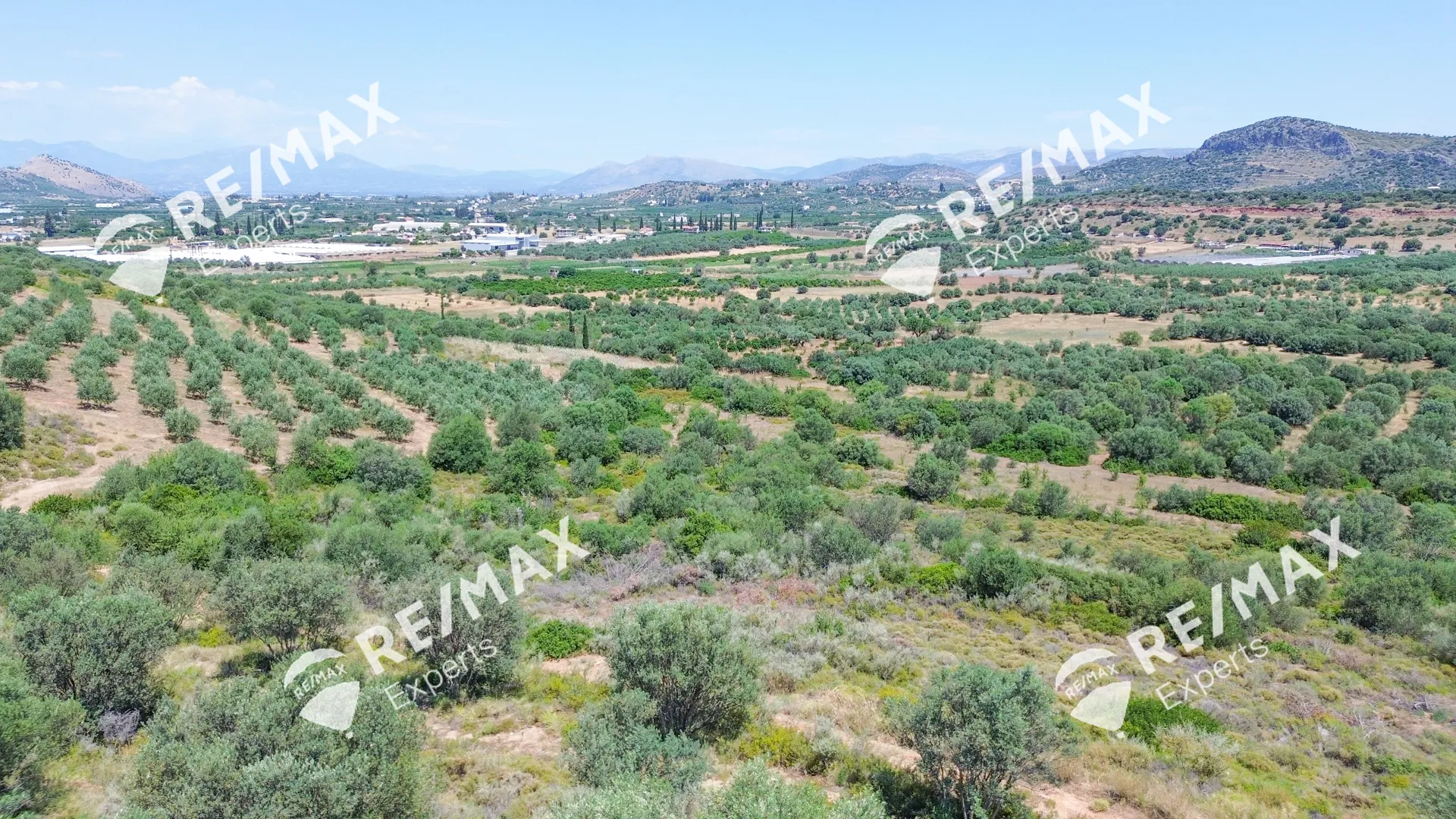 Plot 6636m²  - 4