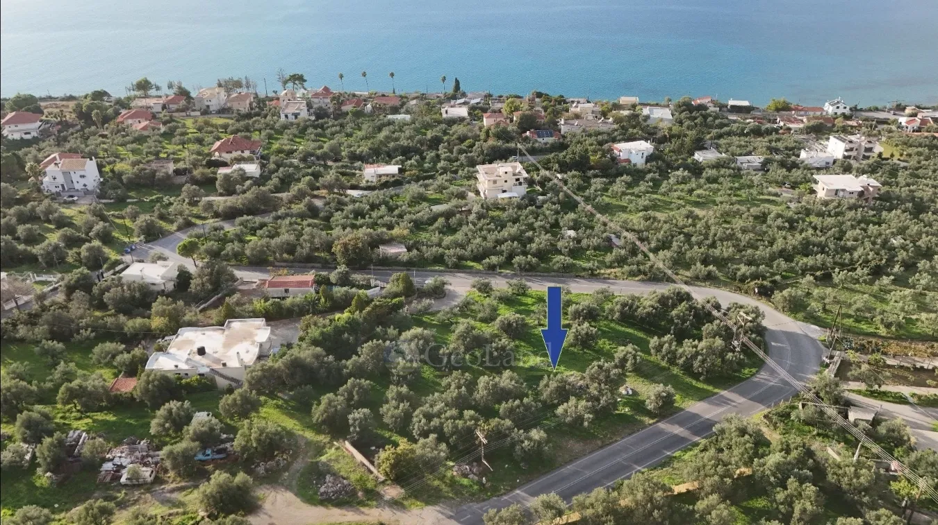 Οικόπεδο 4265τ.μ.  - 2
