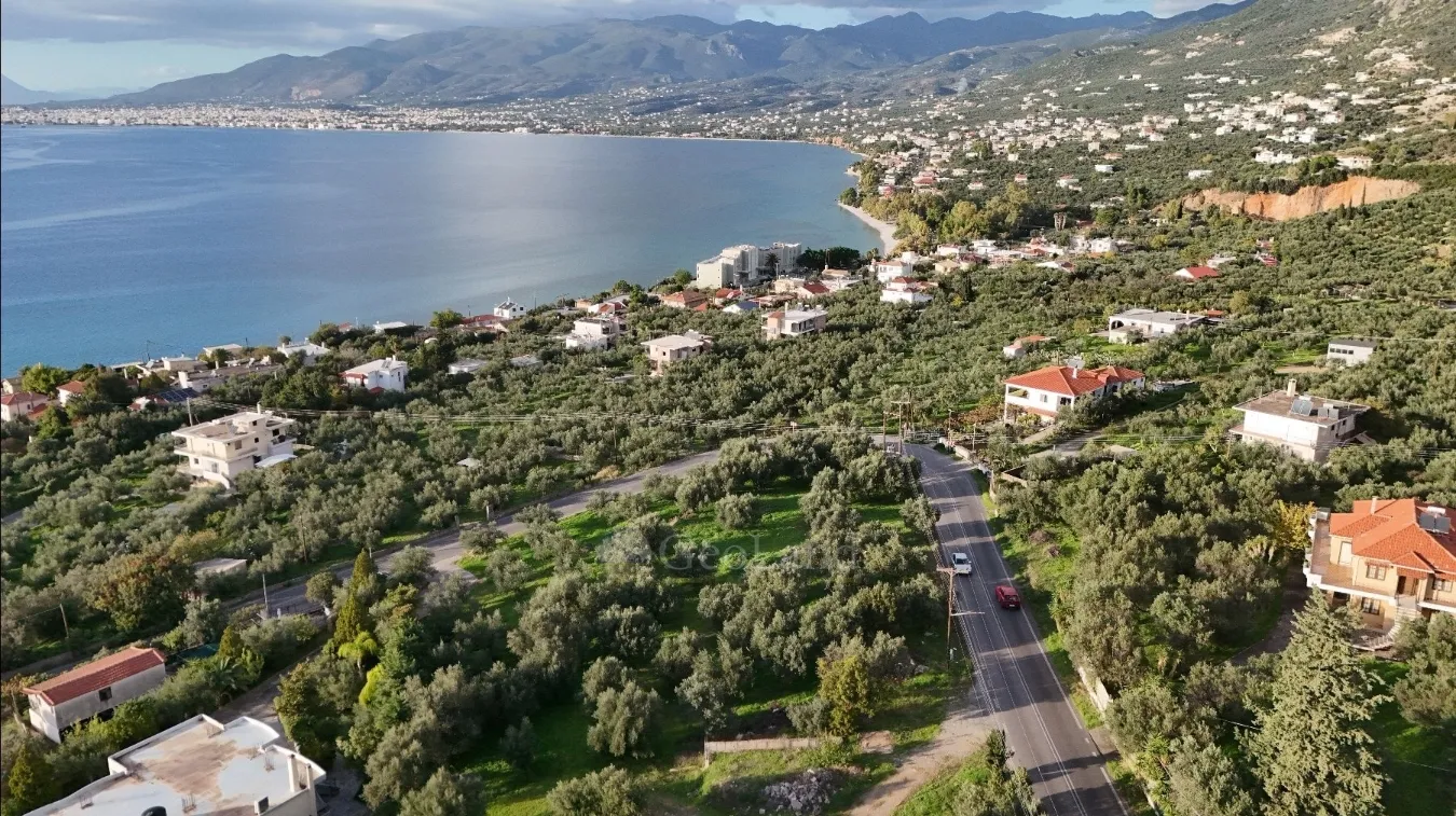 Οικόπεδο 4265τ.μ.  - 5