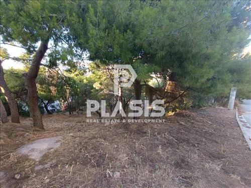 Οικόπεδο 785τ.μ.  - 3