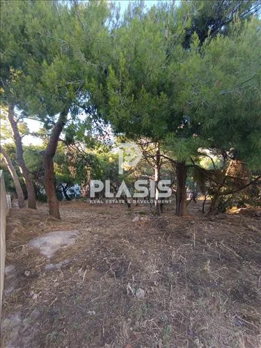 Οικόπεδο 785τ.μ.  - 4