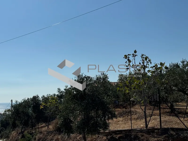 Οικόπεδο 4208τ.μ.  - 2