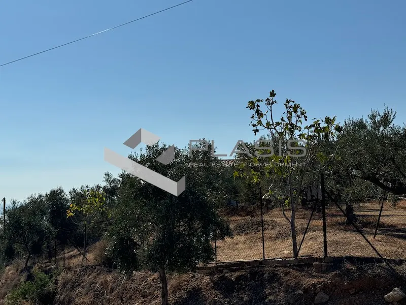 Οικόπεδο 4208τ.μ.  - 3