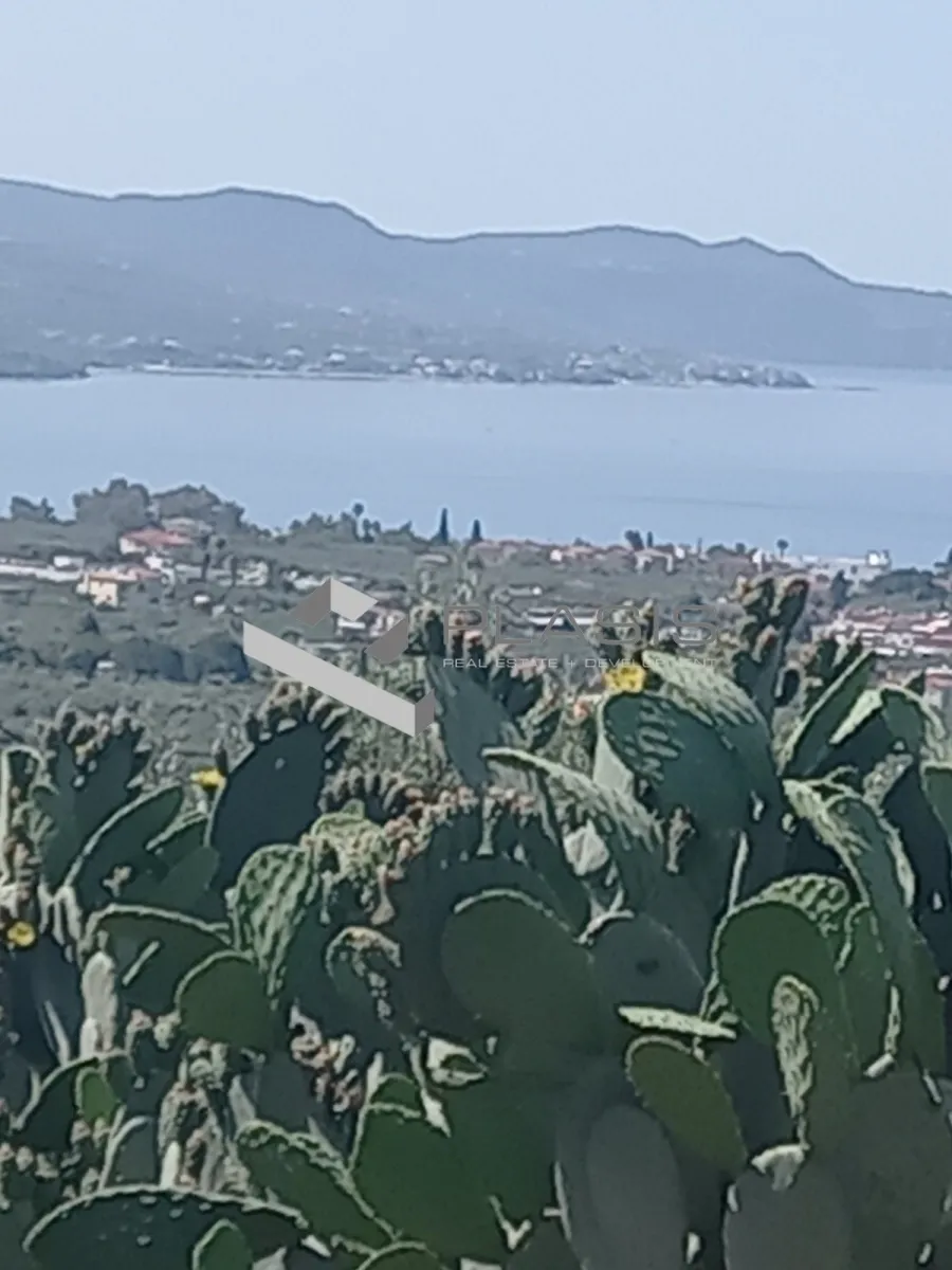 Οικόπεδο 4208τ.μ.  - 4