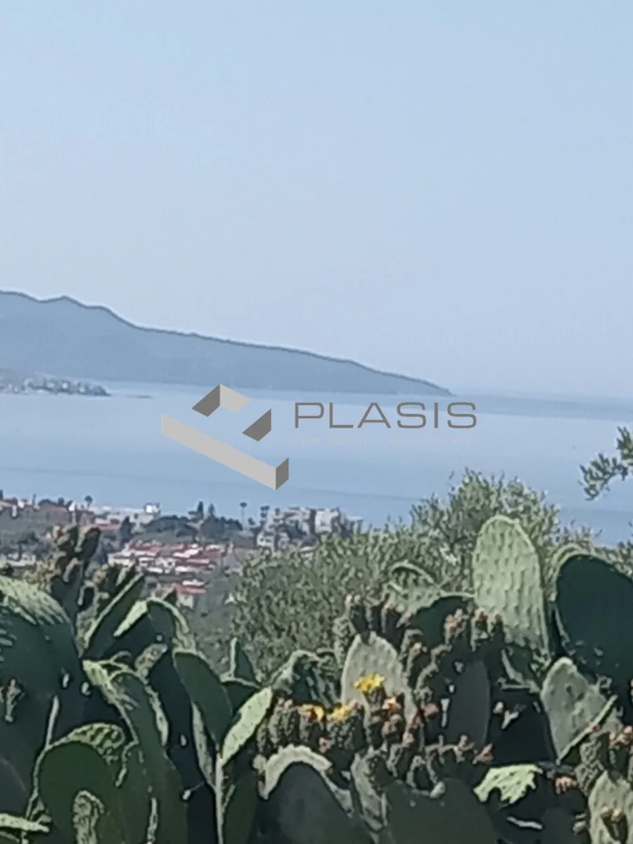 Οικόπεδο 4208τ.μ.  - 5