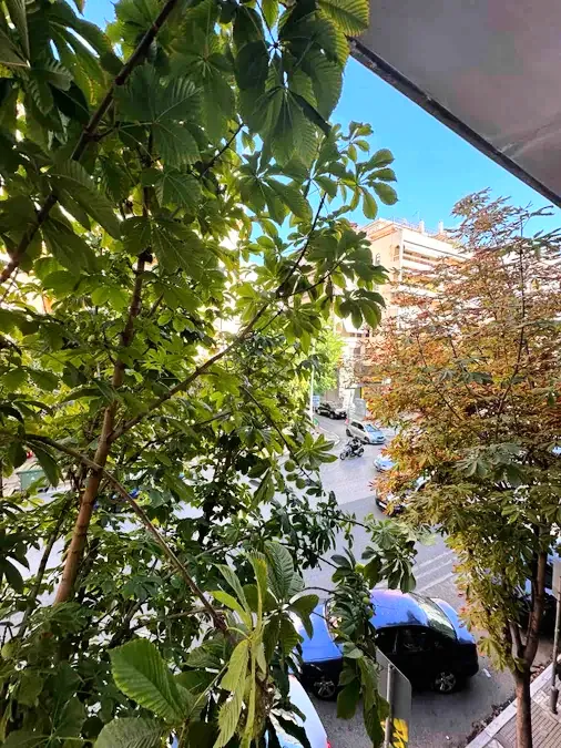 Apartment 52m²  - 3