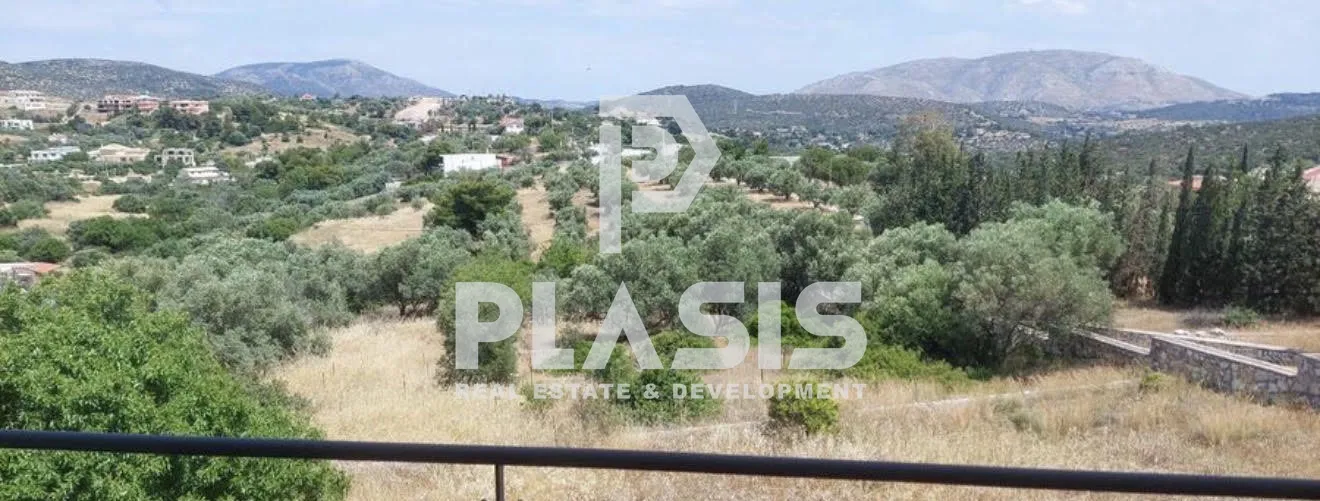 Detached house 300m²  - 2