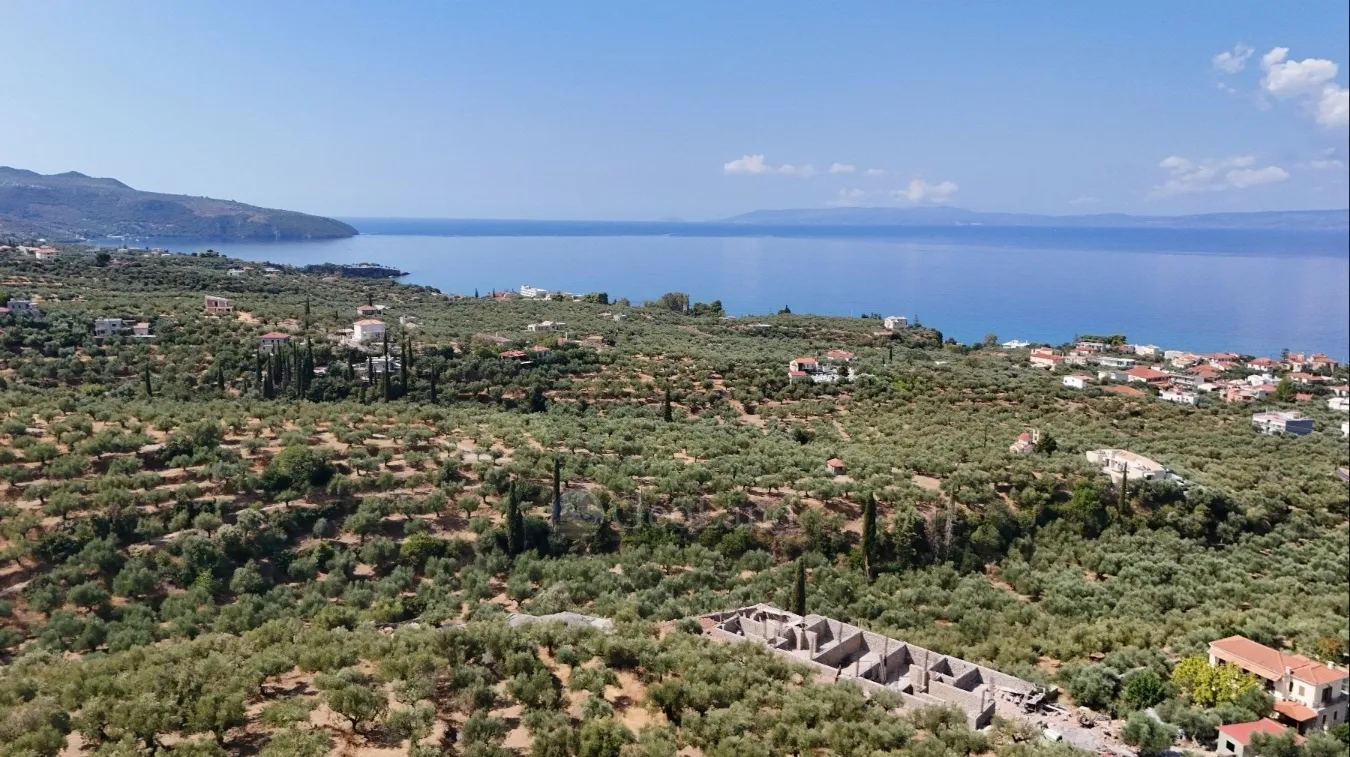 Μονοκατοικία 229τ.μ.  - 3