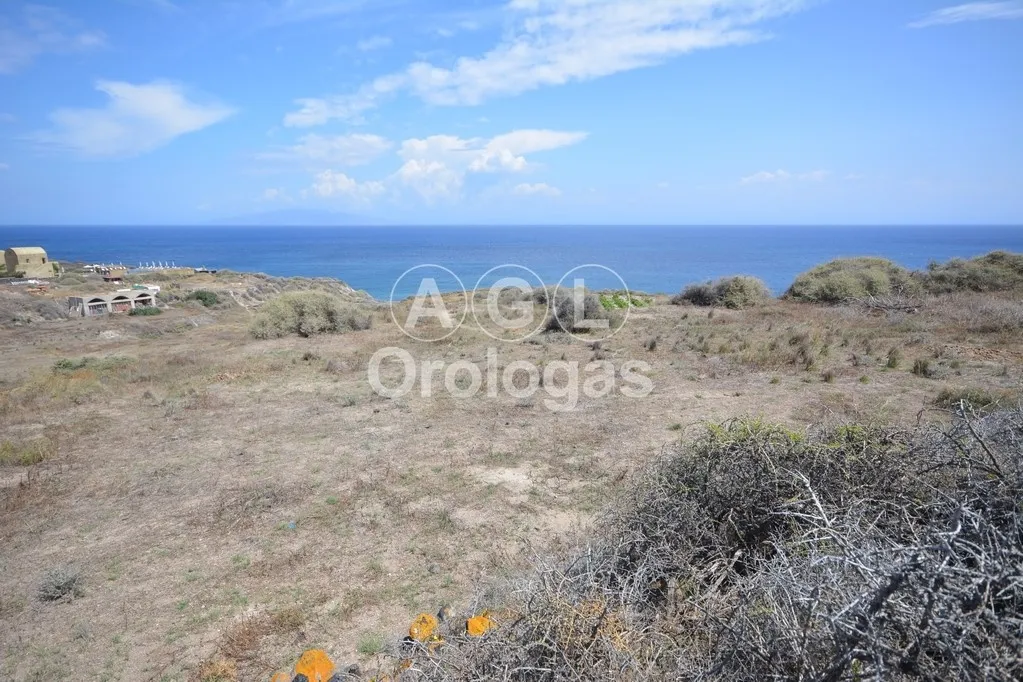 Αγροτεμάχιο 4000τ.μ.  - 4