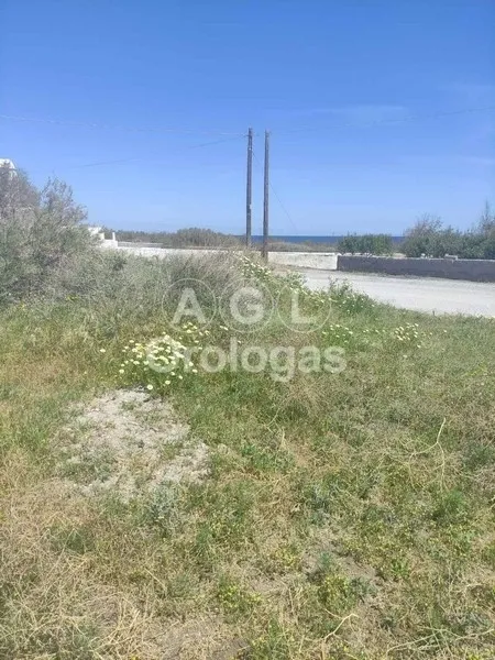 Plot 5135m²  - 2