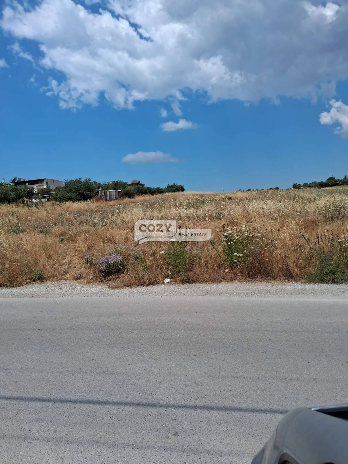 Αγροτεμάχιο 15000τ.μ.  - 2