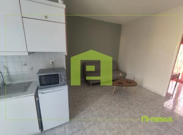 Studio 35m²  - 5