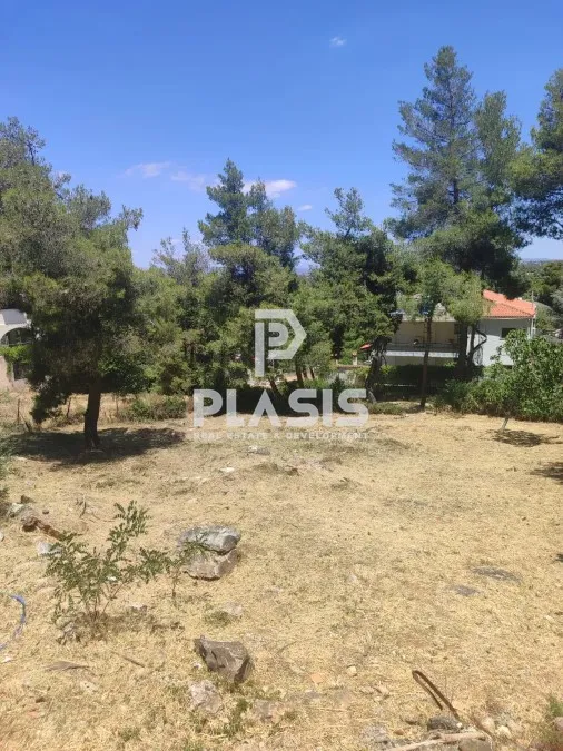 Οικόπεδο 602τ.μ.  - 2