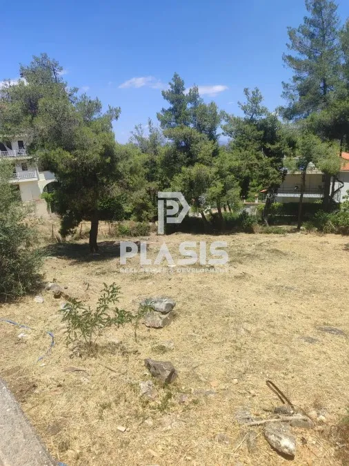 Οικόπεδο 602τ.μ.  - 4